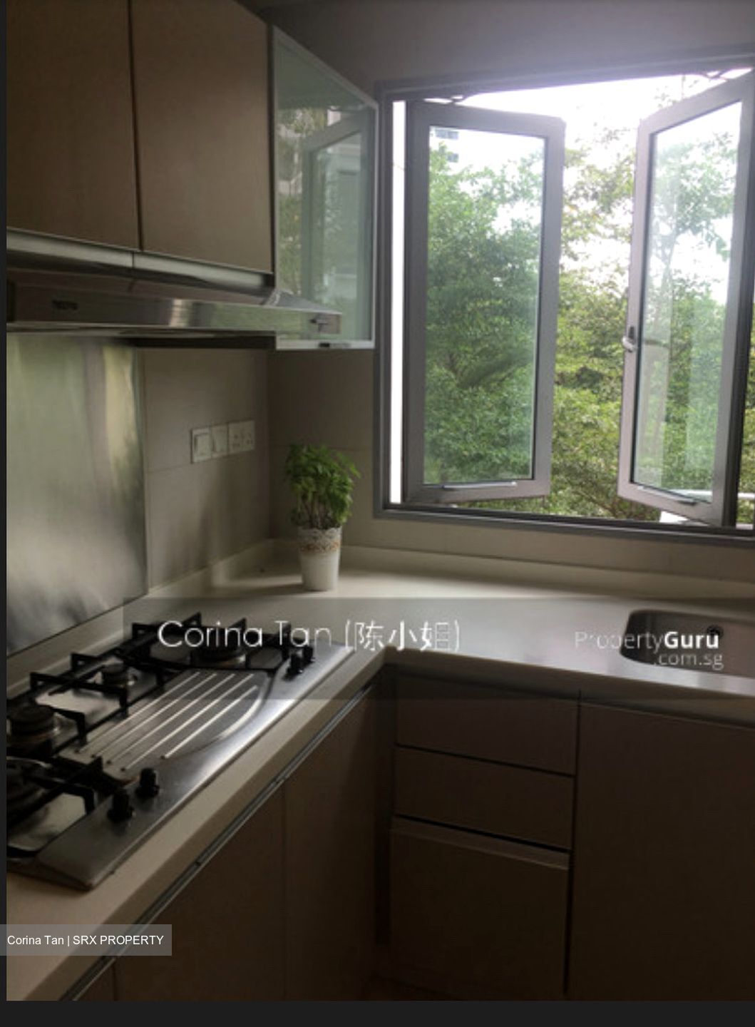 The Belvedere (D15), Condominium #563195771